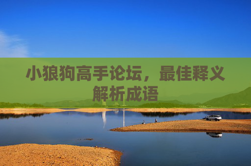 小狼狗高手论坛，最佳释义解析成语