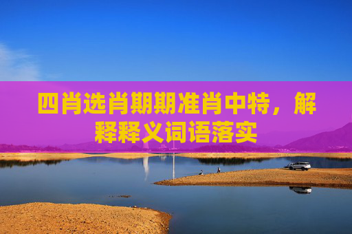 四肖选肖期期准肖中特，解释释义词语落实